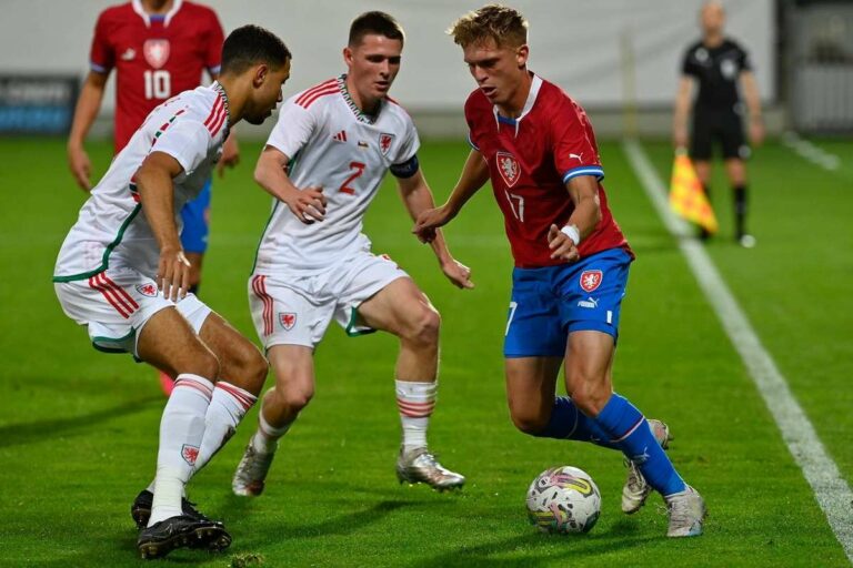 Les Lions se battront contre les Danois pour obtenir leur première victoire, mais ils devront faire mieux lors des qualifications.